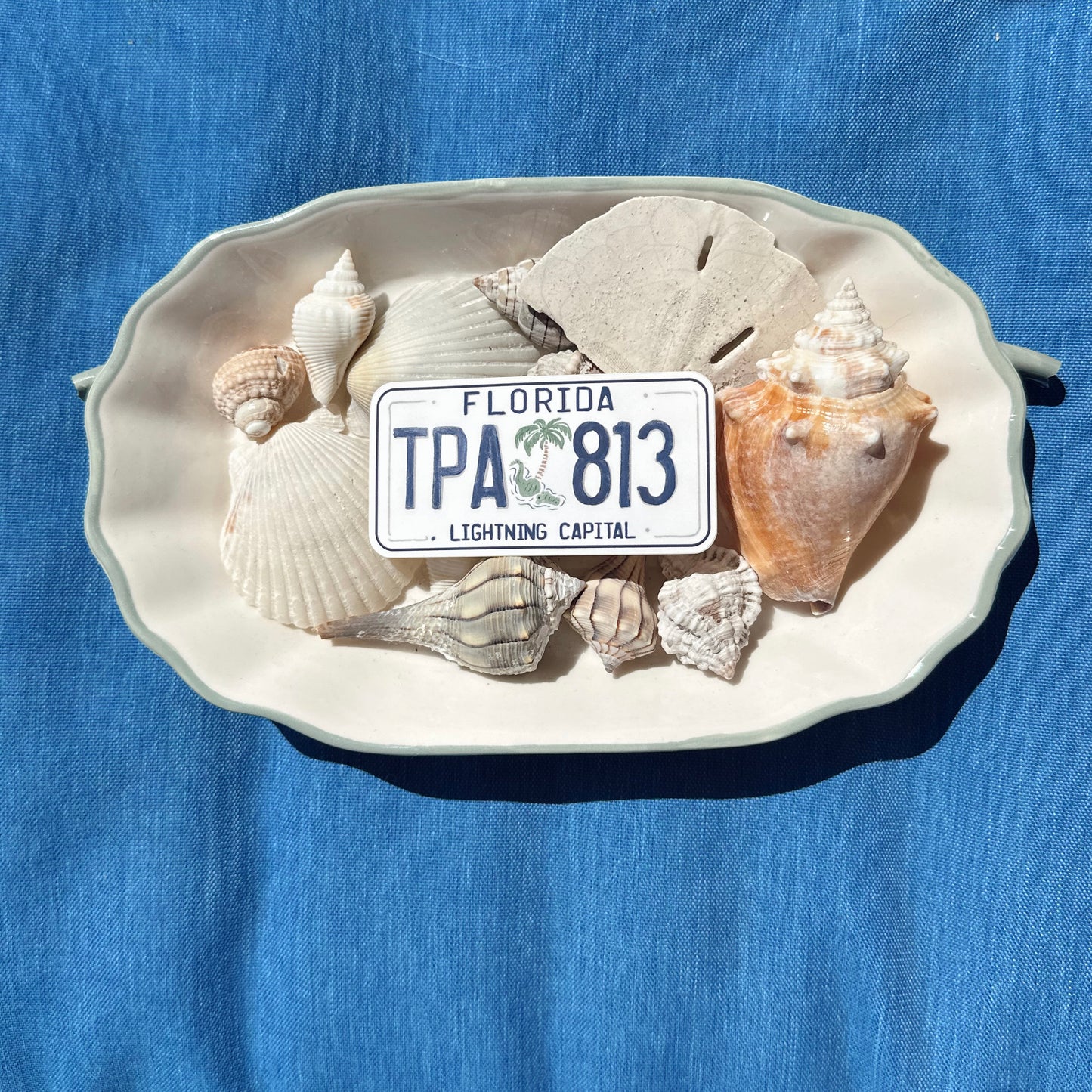 Tampa License Plate Sticker