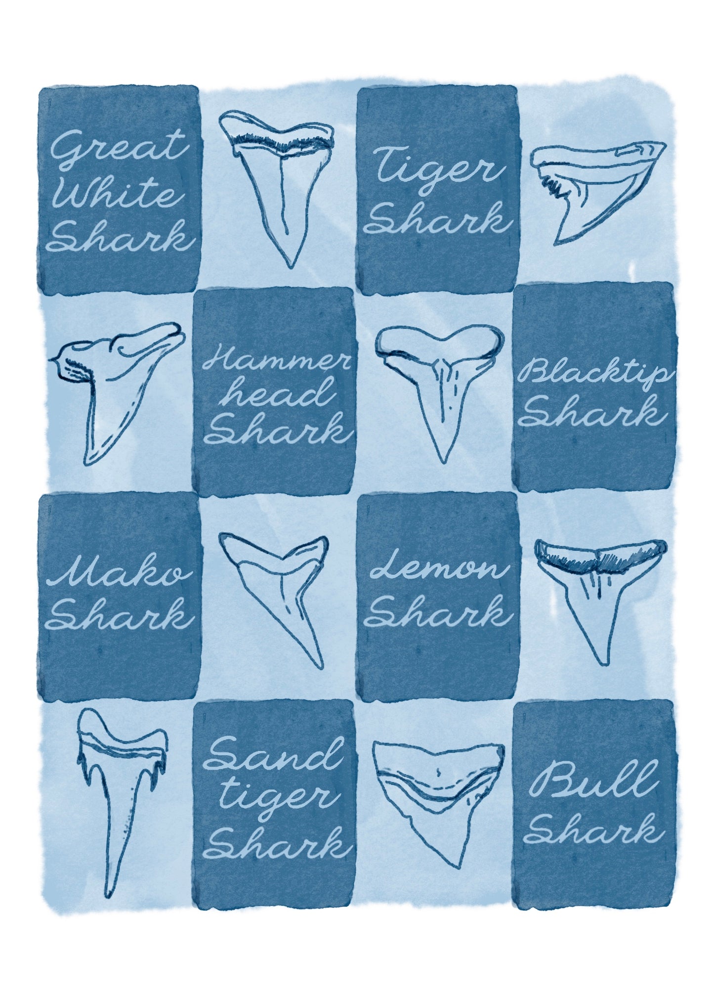 Shark Tooth Mini Art Print