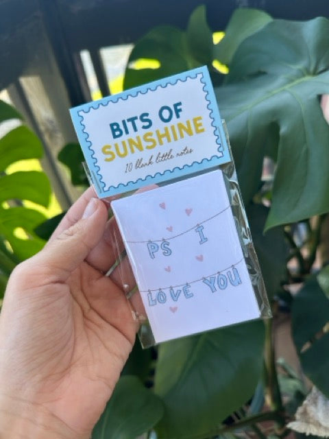 Little Love Notes