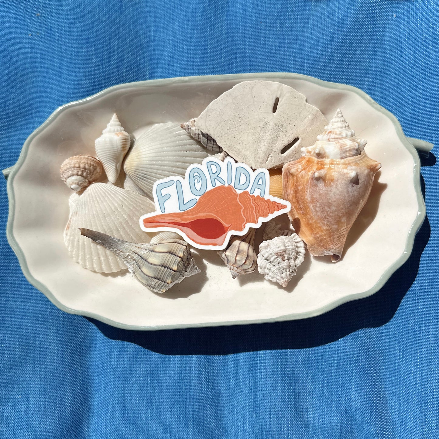 Florida Shell Sticker