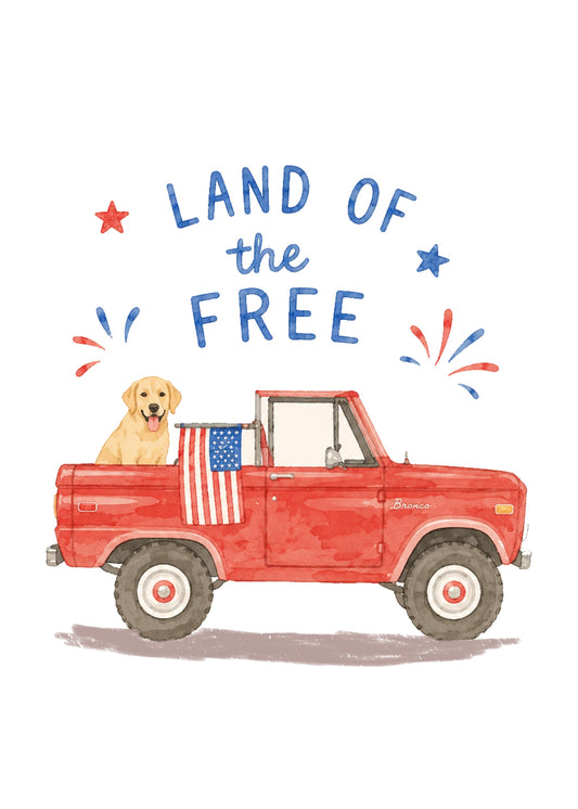 Land of the Free Mini Art Print